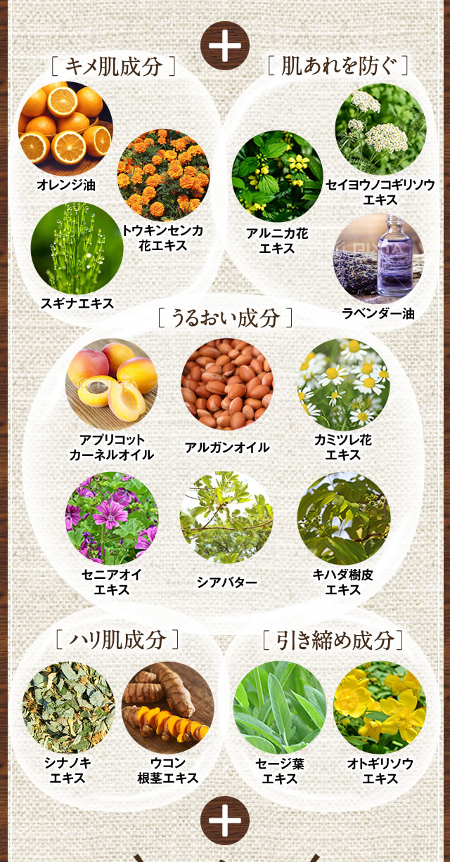 ベースは「ココナッツオイル由来」の洗浄成分