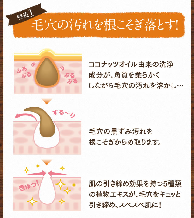 特長1 毛穴の汚れを根こそぎ落とす！