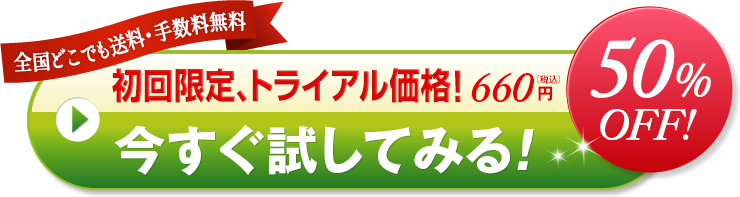 初回限定、トライアル価格！990円 今すぐ試してみる！