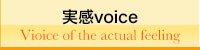 実感voice